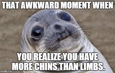 Awkward Moment Sealion Meme | THAT AWKWARD MOMENT WHEN YOU REALIZE YOU HAVE MORE CHINS THAN LIMBS. | image tagged in memes,awkward moment sealion | made w/ Imgflip meme maker