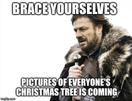 Brace Yourselves X is Coming Meme | BRACE YOURSELVES PICTURES OF EVERYONE'S CHRISTMAS TREE IS COMING | image tagged in memes,brace yourselves x is coming,AdviceAnimals | made w/ Imgflip meme maker