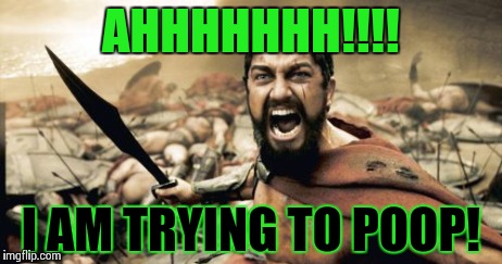 Sparta Leonidas Meme | AHHHHHHH!!!! I AM TRYING TO POOP! | image tagged in memes,sparta leonidas | made w/ Imgflip meme maker