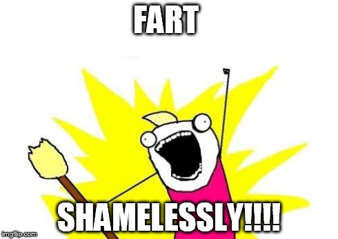 X All The Y Meme | FART SHAMELESSLY!!!! | image tagged in memes,x all the y | made w/ Imgflip meme maker