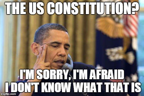 No I Can't Obama | THE US CONSTITUTION? I'M SORRY, I'M AFRAID I DON'T KNOW WHAT THAT IS | image tagged in memes,no i cant obama | made w/ Imgflip meme maker