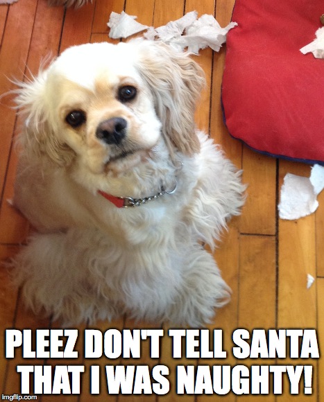 Graci | PLEEZ DON'T TELL SANTA THAT I WAS NAUGHTY! | made w/ Imgflip meme maker