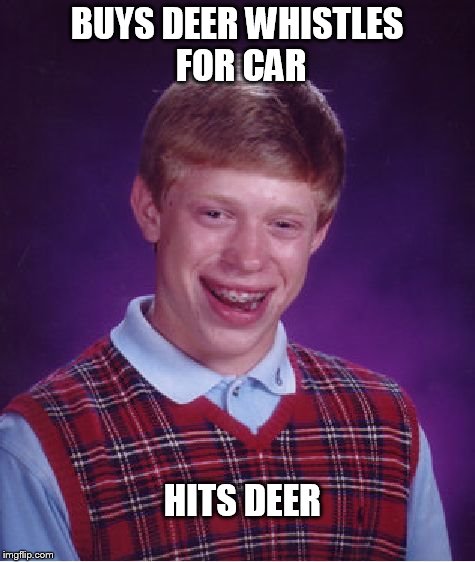 Bad Luck Brian Meme | BUYS DEER WHISTLES FOR CAR HITS DEER | image tagged in memes,bad luck brian | made w/ Imgflip meme maker