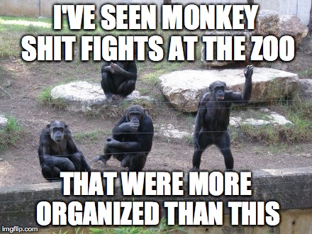 Monkey fights | I'VE SEEN MONKEY SHIT FIGHTS AT THE ZOO THAT WERE MORE ORGANIZED THAN THIS | image tagged in monkey | made w/ Imgflip meme maker