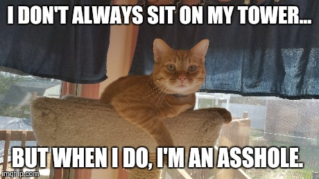 I DON'T ALWAYS SIT ON MY TOWER... BUT WHEN I DO, I'M AN ASSHOLE. | made w/ Imgflip meme maker