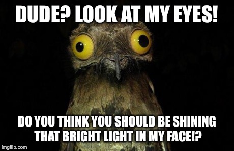 Weird Stuff I Do Potoo Meme | DUDE? LOOK AT MY EYES! DO YOU THINK YOU SHOULD BE SHINING THAT BRIGHT LIGHT IN MY FACE!? | image tagged in memes,weird stuff i do potoo | made w/ Imgflip meme maker