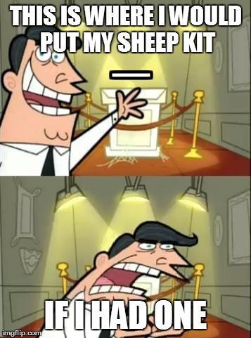 This Is Where I'd Put My Trophy If I Had One Meme | THIS IS WHERE I WOULD PUT MY SHEEP KIT IF I HAD ONE | image tagged in this is where i'd put my trophy, if i had one | made w/ Imgflip meme maker