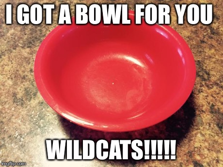 I GOT A BOWL FOR YOU WILDCATS!!!!! | image tagged in bowl  | made w/ Imgflip meme maker