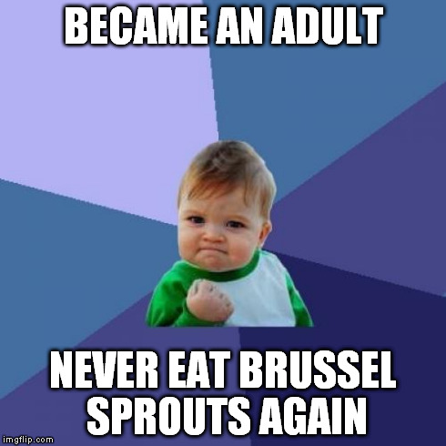 Success Kid Meme | BECAME AN ADULT NEVER EAT BRUSSEL SPROUTS AGAIN | image tagged in memes,success kid | made w/ Imgflip meme maker
