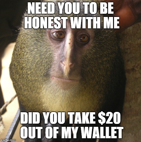 NEED YOU TO BE HONEST WITH ME DID YOU TAKE $20 OUT OF MY WALLET | image tagged in memes | made w/ Imgflip meme maker