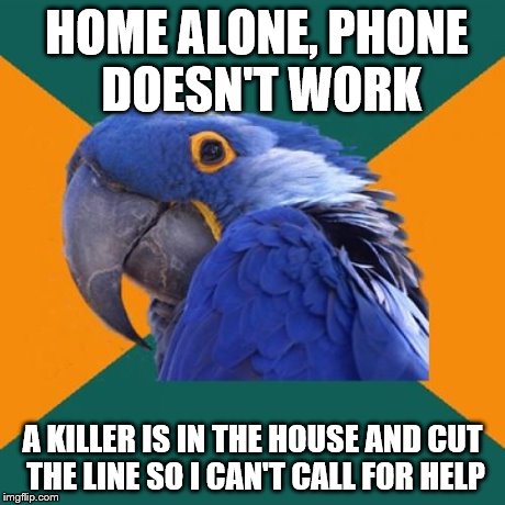 Paranoid Parrot | HOME ALONE, PHONE DOESN'T WORK A KILLER IS IN THE HOUSE AND CUT THE LINE SO I CAN'T CALL FOR HELP | image tagged in memes,paranoid parrot | made w/ Imgflip meme maker