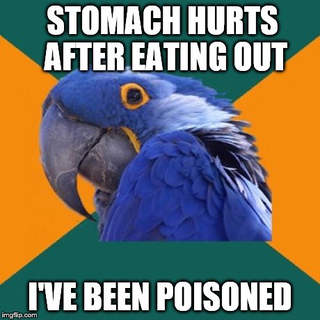 Paranoid Parrot Meme | STOMACH HURTS AFTER EATING OUT I'VE BEEN POISONED | image tagged in memes,paranoid parrot | made w/ Imgflip meme maker