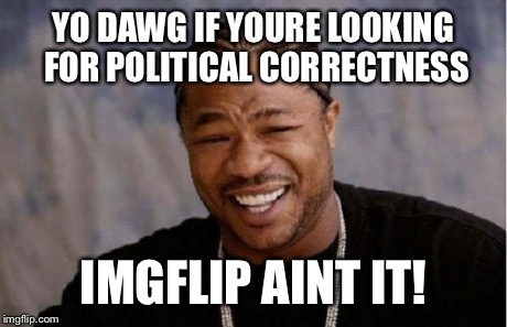 Yo Dawg Heard You Meme | YO DAWG IF YOURE LOOKING FOR POLITICAL CORRECTNESS IMGFLIP AINT IT! | image tagged in memes,yo dawg heard you | made w/ Imgflip meme maker