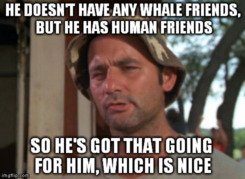 So I Got That Goin For Me Which Is Nice Meme | HE DOESN'T HAVE ANY WHALE FRIENDS, BUT HE HAS HUMAN FRIENDS SO HE'S GOT THAT GOING FOR HIM, WHICH IS NICE | image tagged in memes,so i got that goin for me which is nice | made w/ Imgflip meme maker
