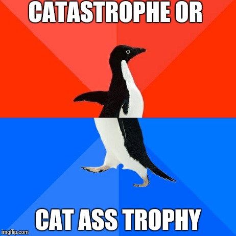 Same sound problems
 | CATASTROPHE OR CAT ASS TROPHY | image tagged in memes,socially awesome awkward penguin | made w/ Imgflip meme maker