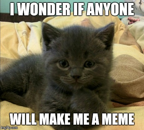 I WONDER IF ANYONE WILL MAKE ME A MEME | made w/ Imgflip meme maker