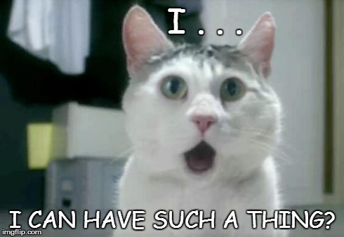 I can have such a thing? | I . . . I CAN HAVE SUCH A THING? | image tagged in omg cat | made w/ Imgflip meme maker