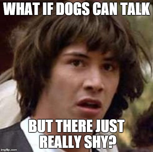 Conspiracy Keanu Meme | WHAT IF DOGS CAN TALK BUT THERE JUST REALLY SHY? | image tagged in memes,conspiracy keanu | made w/ Imgflip meme maker