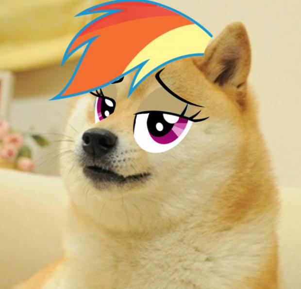 Rainbow Doge Blank Meme Template