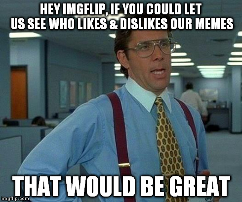 That Would Be Great | HEY IMGFLIP, IF YOU COULD LET US SEE WHO LIKES & DISLIKES OUR MEMES THAT WOULD BE GREAT | image tagged in memes,that would be great | made w/ Imgflip meme maker