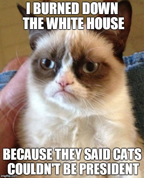 Grumpy Cat Meme | I BURNED DOWN THE WHITE HOUSE BECAUSE THEY SAID CATS COULDN'T BE PRESIDENT | image tagged in memes,grumpy cat | made w/ Imgflip meme maker