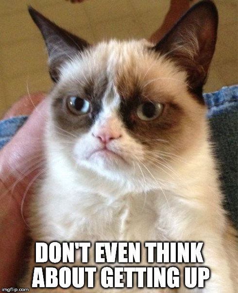 Grumpy Cat Meme | DON'T EVEN THINK ABOUT GETTING UP | image tagged in memes,grumpy cat | made w/ Imgflip meme maker