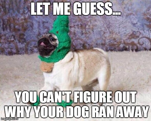 Christmas Dog | LET ME GUESS... YOU CAN'T FIGURE OUT WHY YOUR DOG RAN AWAY | image tagged in christmas dog | made w/ Imgflip meme maker