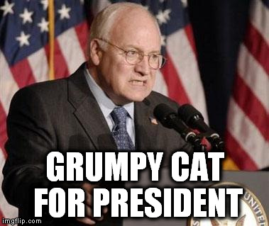 GRUMPY CAT FOR PRESIDENT | image tagged in cheney | made w/ Imgflip meme maker