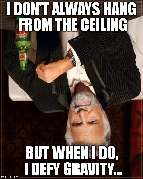 The Most Interesting Man In The World | I DON'T ALWAYS HANG FROM THE CEILING BUT WHEN I DO, I DEFY GRAVITY... | image tagged in memes,the most interesting man in the world | made w/ Imgflip meme maker