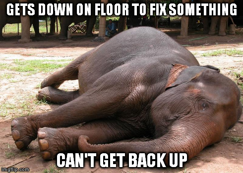what now? | GETS DOWN ON FLOOR TO FIX SOMETHING CAN'T GET BACK UP | image tagged in elephant | made w/ Imgflip meme maker