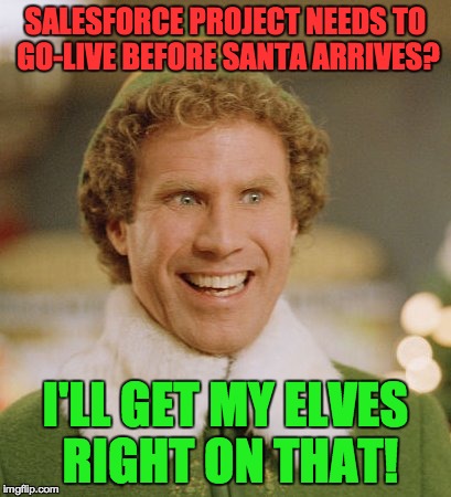 Buddy The Elf Meme | SALESFORCE PROJECT NEEDS TO GO-LIVE BEFORE SANTA ARRIVES? I'LL GET MY ELVES RIGHT ON THAT! | image tagged in memes,buddy the elf | made w/ Imgflip meme maker