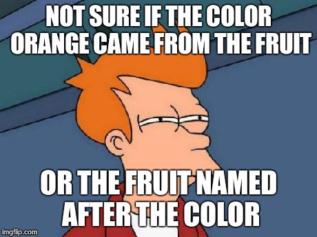 Futurama Fry | NOT SURE IF THE COLOR ORANGE CAME FROM THE FRUIT OR THE FRUIT NAMED AFTER THE COLOR | image tagged in memes,futurama fry | made w/ Imgflip meme maker