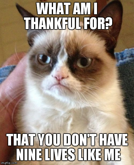 Grumpy Cat | WHAT AM I THANKFUL FOR? THAT YOU DON'T HAVE NINE LIVES LIKE ME | image tagged in memes,grumpy cat | made w/ Imgflip meme maker