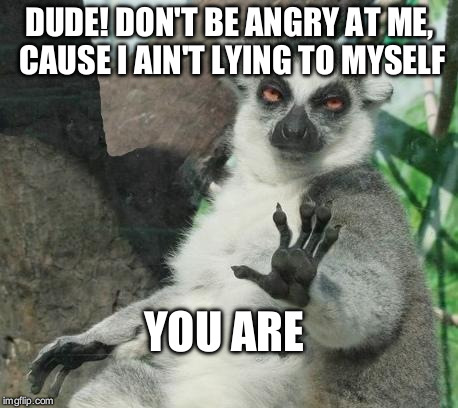 Stoner Lemur Meme | DUDE! DON'T BE ANGRY AT ME, CAUSE I AIN'T LYING TO MYSELF YOU ARE | image tagged in memes,stoner lemur | made w/ Imgflip meme maker