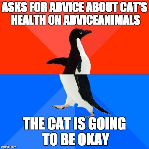 Socially Awesome Awkward Penguin | ASKS FOR ADVICE ABOUT CAT'S HEALTH ON ADVICEANIMALS THE CAT IS GOING TO BE OKAY | image tagged in memes,socially awesome awkward penguin | made w/ Imgflip meme maker