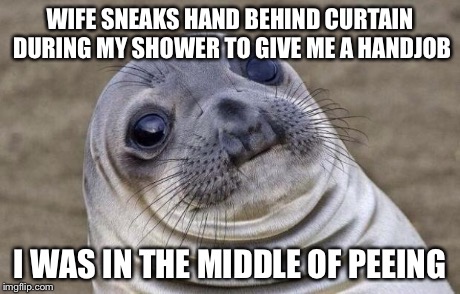 Awkward Moment Sealion Meme | WIFE SNEAKS HAND BEHIND CURTAIN DURING MY SHOWER TO GIVE ME A HANDJOB I WAS IN THE MIDDLE OF PEEING | image tagged in memes,awkward moment sealion,AdviceAnimals | made w/ Imgflip meme maker
