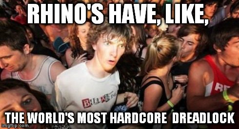 Sudden Clarity Clarence | RHINO'S HAVE, LIKE, THE WORLD'S MOST
HARDCORE 
DREADLOCK | image tagged in memes,sudden clarity clarence | made w/ Imgflip meme maker