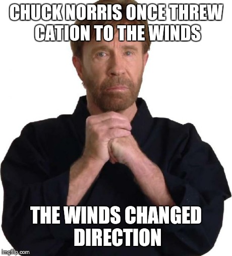 Determined Chuck Norris | CHUCK NORRIS ONCE THREW CATION TO THE WINDS THE WINDS CHANGED DIRECTION | image tagged in determined chuck norris | made w/ Imgflip meme maker