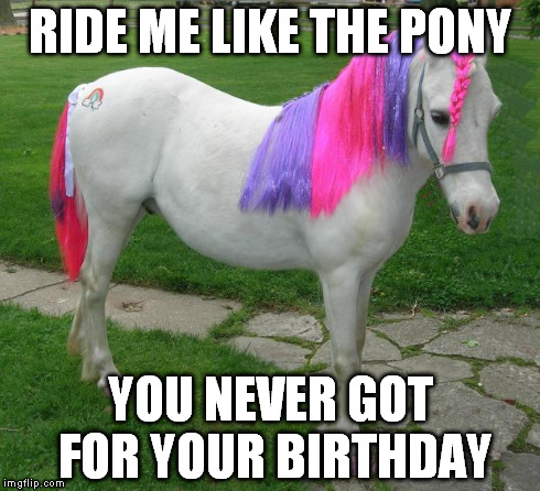 My Little Pony | RIDE ME LIKE THE PONY YOU NEVER GOT FOR YOUR BIRTHDAY | image tagged in my little pony | made w/ Imgflip meme maker