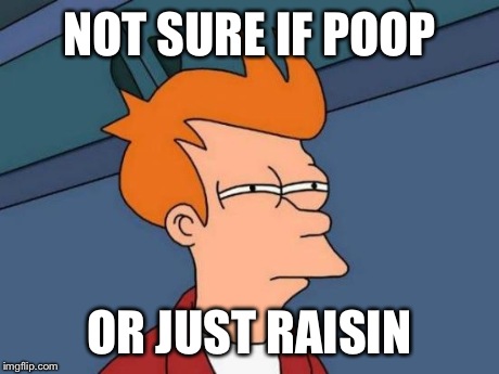 Futurama Fry | NOT SURE IF POOP OR JUST RAISIN | image tagged in memes,futurama fry,funny | made w/ Imgflip meme maker