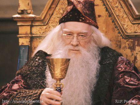 High Quality Dumbledore Blank Meme Template