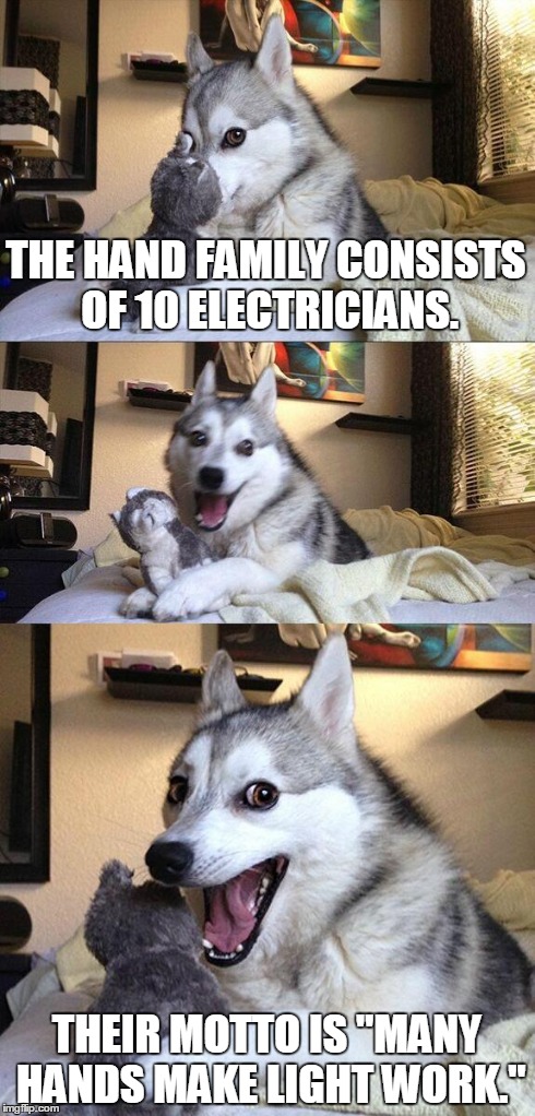 Bad Pun Dog | THE HAND FAMILY CONSISTS OF 10 ELECTRICIANS. THEIR MOTTO IS "MANY HANDS MAKE LIGHT WORK." | image tagged in memes,bad pun dog | made w/ Imgflip meme maker