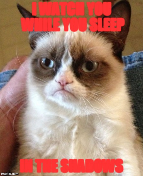 Grumpy Cat | I WATCH YOU WHILE YOU SLEEP IN THE SHADOWS | image tagged in memes,grumpy cat | made w/ Imgflip meme maker