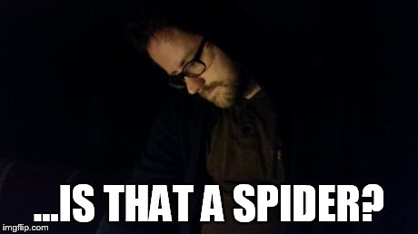 ...IS THAT A SPIDER? | made w/ Imgflip meme maker