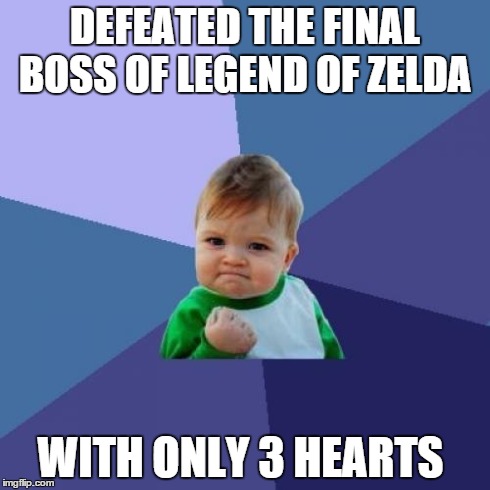 Success Kid Meme | DEFEATED THE FINAL BOSS OF LEGEND OF ZELDA WITH ONLY 3 HEARTS | image tagged in memes,success kid | made w/ Imgflip meme maker