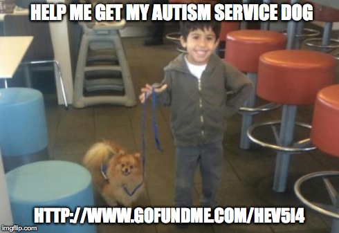 Autism Service Dog | HELP ME GET MY AUTISM SERVICE DOG HTTP://WWW.GOFUNDME.COM/HEV5I4 | image tagged in autism service dog | made w/ Imgflip meme maker