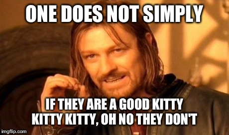 One Does Not Simply Meme | ONE DOES NOT SIMPLY IF THEY ARE A GOOD KITTY KITTY KITTY, OH NO THEY DON'T | image tagged in memes,one does not simply | made w/ Imgflip meme maker