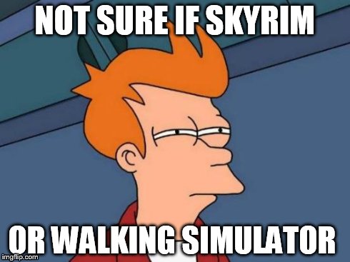 Futurama Fry | NOT SURE IF SKYRIM OR WALKING SIMULATOR | image tagged in memes,futurama fry | made w/ Imgflip meme maker