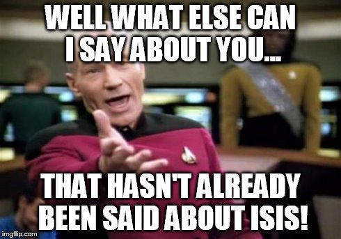 Picard Wtf | WELL WHAT ELSE CAN I SAY ABOUT YOU... THAT HASN'T ALREADY BEEN SAID ABOUT ISIS! | image tagged in memes,picard wtf | made w/ Imgflip meme maker