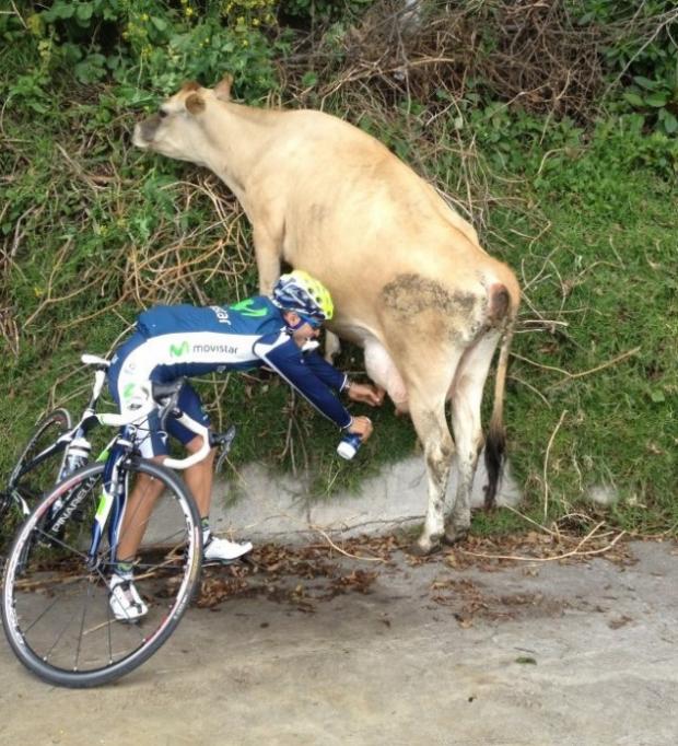 Milking Cyclists Blank Meme Template